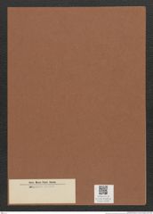 Diatomeae indet. Zeichnungen Sammlung Grunow Mappe 03283 (Herbarium_W_Grunow_drawings_Folder_03283)